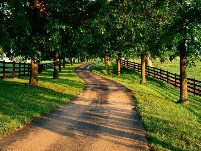 行业领先软件的在线DDOS平台攻击